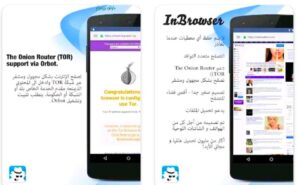 تحميل المتصفح السريع InBrowser