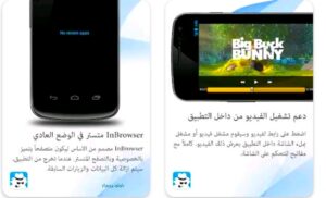 تحميل المتصفح السريع InBrowser